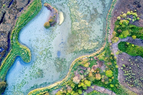 Zapewnienie wody pitnej wolnej od zagrożeń mikrobiologicznych pozostaje jednym z najważniejszych wyzwań w ochronie zdrowia publicznego.